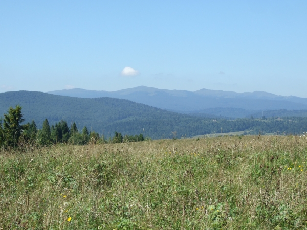 Zdjęcie z Polski - polskie Bieszczady