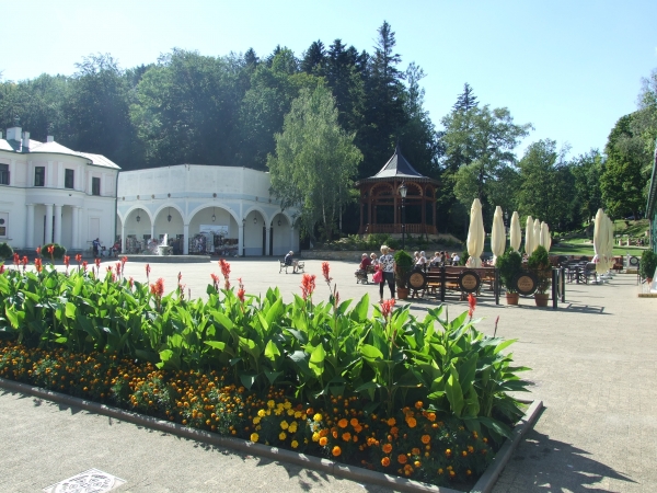 Zdjęcie z Polski - park zdrojowy