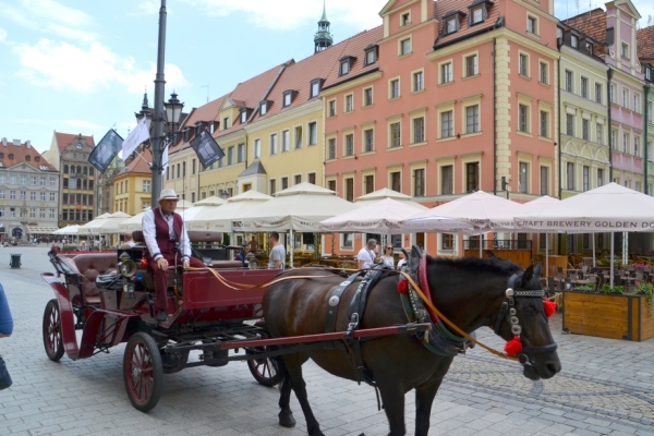 Zdjęcie z Polski - Rynek Starego Miasta