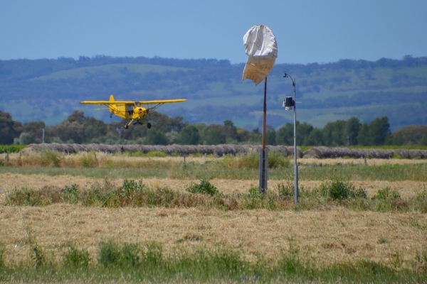 Zdjęcie z Australii - Na aerodromie ciągły ruch