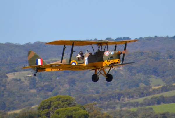 Zdjęcie z Australii - Tiger Moth w locie