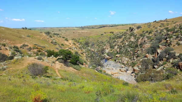 Zdjęcie z Australii - Wąwóz strumienia Reedy Creek