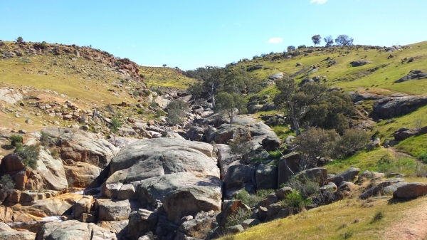 Zdjęcie z Australii - Wąwóz strumienia Reedy Creek