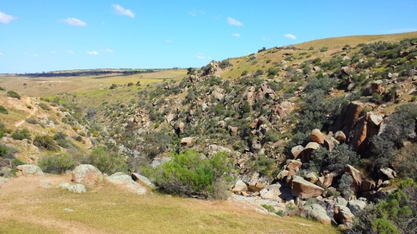 Zdjęcie z Australii - Wąwóz strumienia Reedy Creek