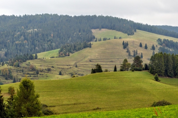 Zdjęcie z Polski - ...