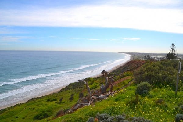 Zdjęcie z Australii - Sellick beach, widok na polnoc