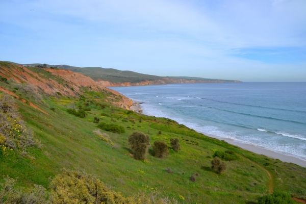 Zdjęcie z Australii - Sellick beach, widok na poludnie...tam ide :)