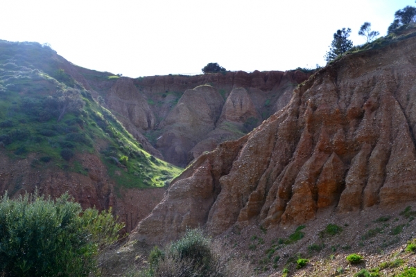 Zdjęcie z Australii - Sciany wąwozu Cactus Canyon