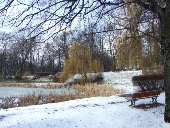 Zdjęcie z Polski - parkowy staw