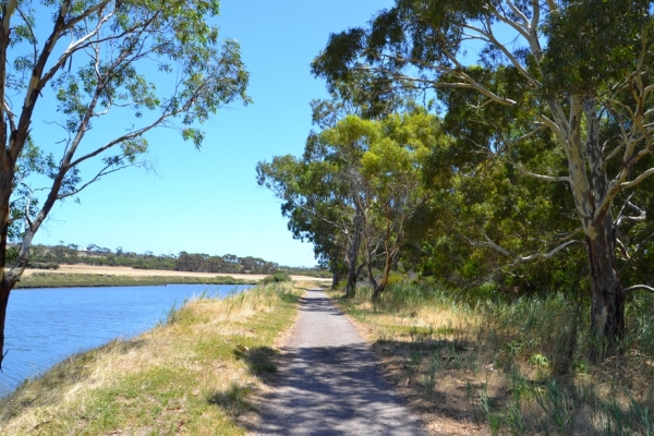 Zdjęcie z Australii - Wzdłuż brzegów Okaparinga River