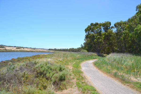 Zdjęcie z Australii - Wzdłuż brzegów Okaparinga River