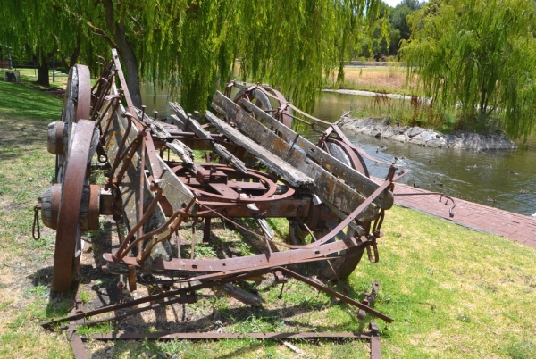 Zdjęcie z Australii - Nad stawem w Old Reynella