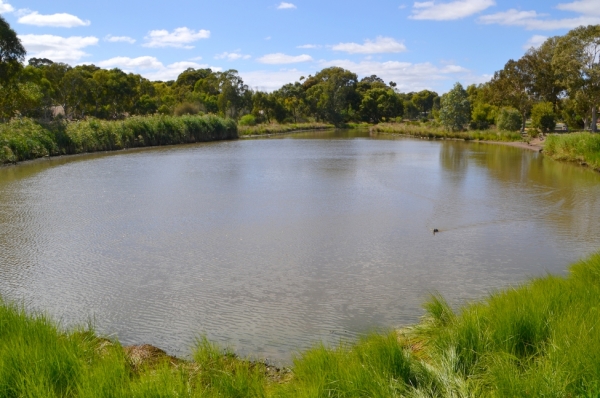 Zdjęcie z Australii - Rozlewiska w Morphett Vale