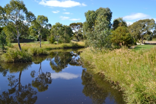 Zdjęcie z Australii - Strumien Christies Creek zasilajacy swoja woda rozlewiska