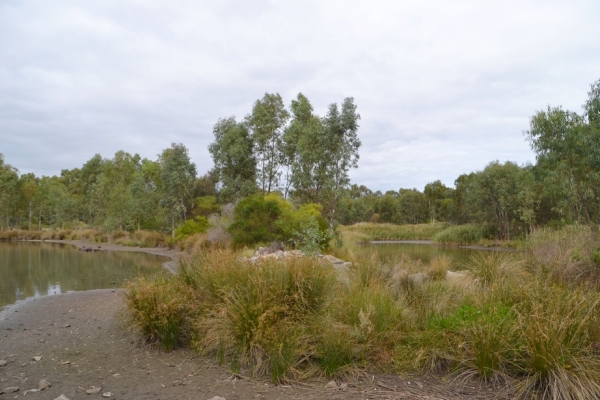 Zdjęcie z Australii - Rozlewiska strumienia Glenloth Creek