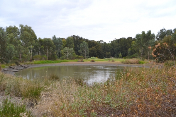 Zdjęcie z Australii - Rozlewiska strumienia Glenloth Creek