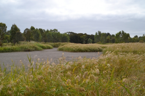 Zdjęcie z Australii - Rozlewiska strumienia Glenloth Creek