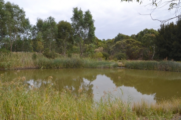 Zdjęcie z Australii - Rozlewiska strumienia Glenloth Creek