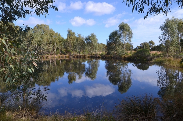 Zdjęcie z Australii - Wracam na rozlewiska strumienia Glenloth Creek