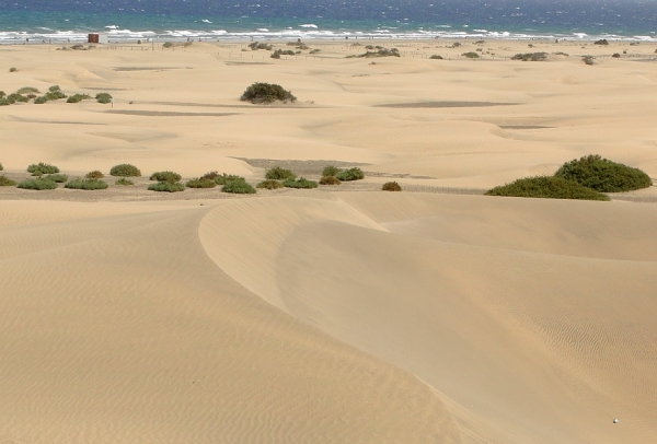 Zdjęcie z Hiszpanii - Pierwszy spacer w kierunku wydm Maspalomas...