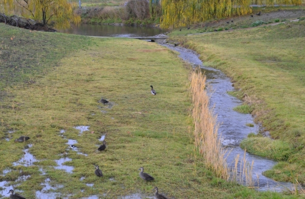 Zdjęcie z Australii - Strumien Panalatinga Creek