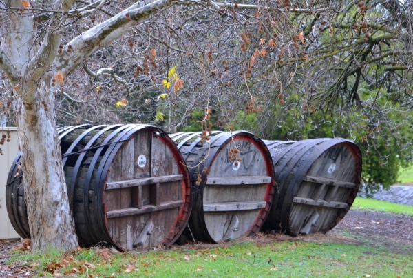 Zdjęcie z Australii - Za hotelem niszczeja ogromne stare beczki na wino