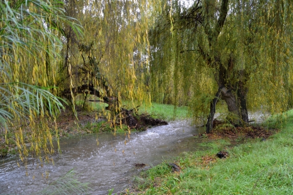 Zdjęcie z Australii - Serpentine Creek