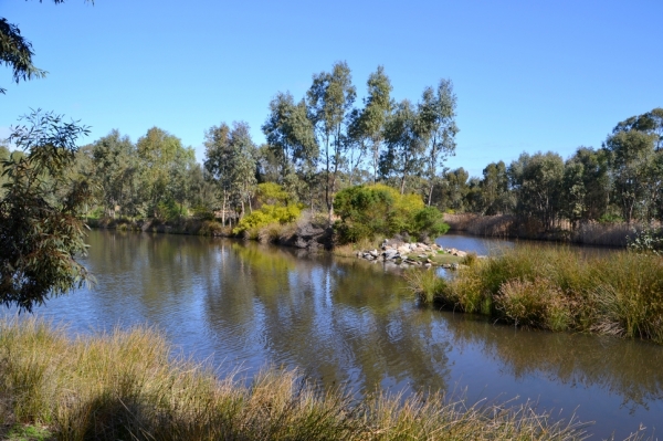 Zdjęcie z Australii - W sierpniu znowu wracam nozlewiska strumienia Glenloth Creek