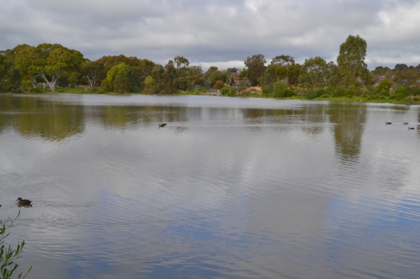 Zdjęcie z Australii - Rozlewiska w Morphett Vale