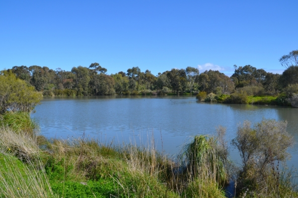 Zdjęcie z Australii - I znowu wracam nad stawy w Seaford Meadows