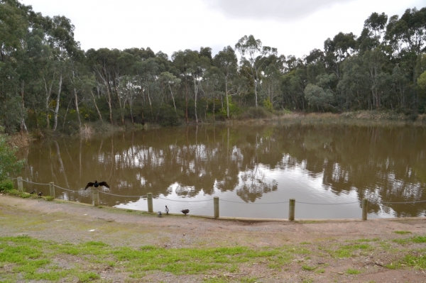 Zdjęcie z Australii - Rozlewiska Warriparingga Wetlands