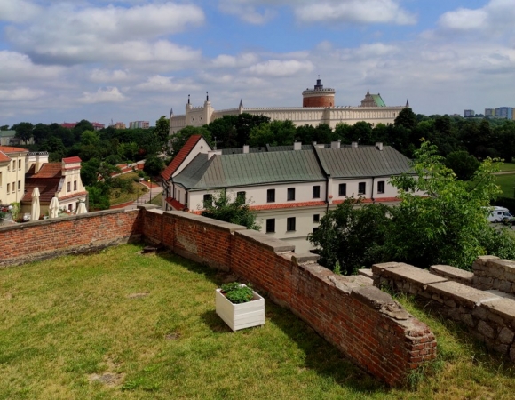 Zdjęcie z Polski - Widok na Zamek z Placu po Farze