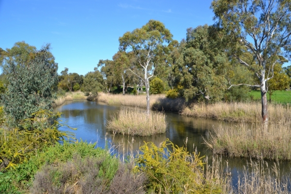 Zdjęcie z Australii - Rozlewiska strumienia Christies Creek w Morphett Vale