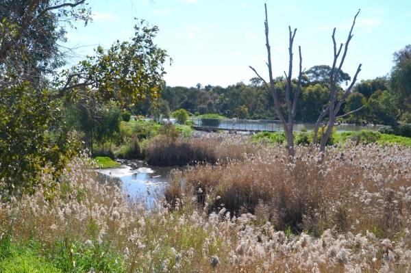 Zdjęcie z Australii - Rozlewiska w Morphett Vale