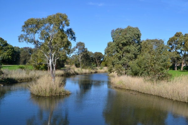 Zdjęcie z Australii - Idac wzdluz malego trumyczka docieram do strumienia Christies Creek