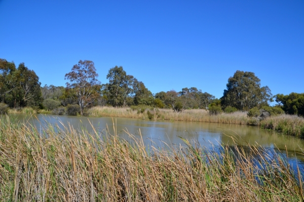 Zdjęcie z Australii - Mniejszy ze stawow w Seaford Meadows