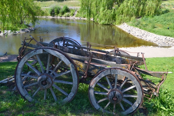 Zdjęcie z Australii - Wracam nad staw w Old Reynella