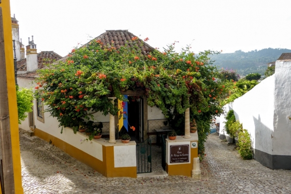 Zdjęcie z Portugalii - bugenwille, miliny, hortensje, róże....  oto kolory Obidos