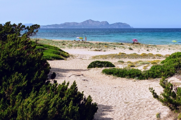 Zdjęcie z Hiszpanii - urok "naszej" plaży Son Baulo