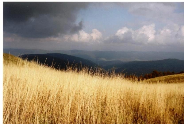 Zdjecie - Polska - Bieszczady