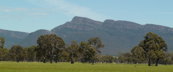 Zdjecie - Australia - Halls Gap