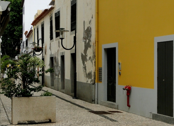 Zdjęcie z Portugalii - Machico