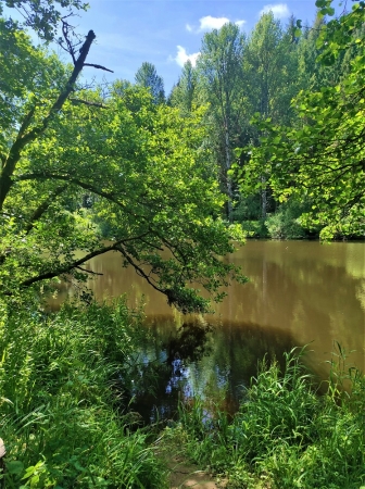 Zdjęcie z Wielkiej Brytanii - New Lanark 