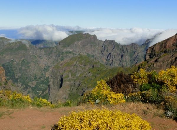 Zdjęcie z Portugalii - Trekking po szczytach Madery