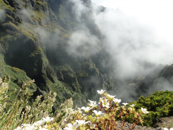 Zdjęcie z Portugalii - Trekking po szczytach Madery