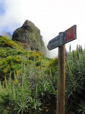 Zdjęcie z Portugalii - Trekking po szczytach Madery