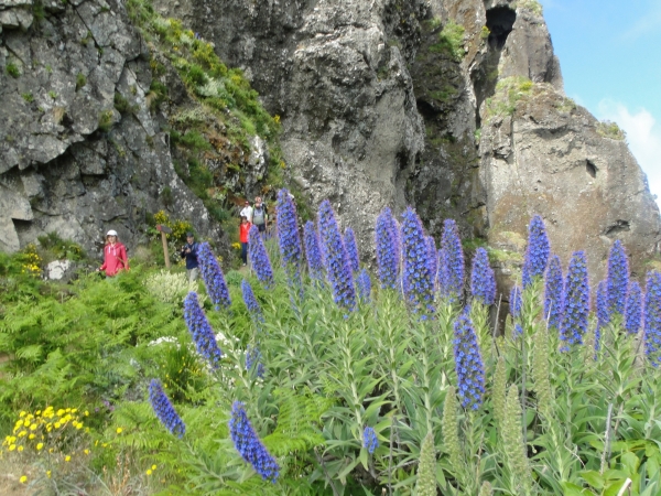 Zdjęcie z Portugalii - Trekking po szczytach Madery