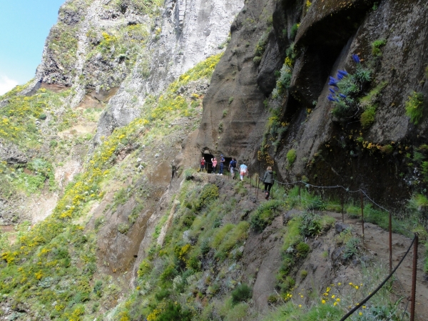 Zdjęcie z Portugalii - Trekking po szczytach Madery