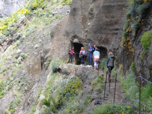 Zdjęcie z Portugalii - Trekking po szczytach Madery