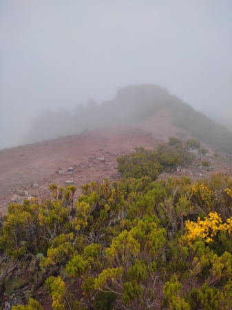 Zdjęcie z Portugalii - Trekking po szczytach Madery